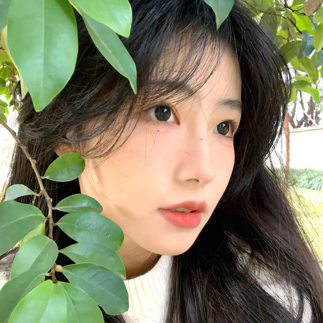 二八佳人花公子